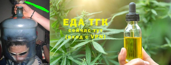 индика Сатка