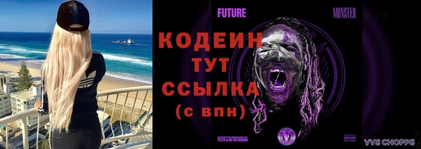 индика Сатка