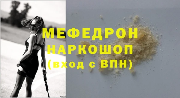 индика Сатка