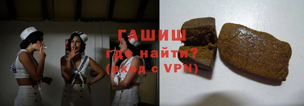индика Сатка