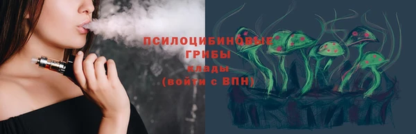 индика Сатка