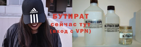 индика Сатка