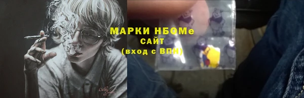 индика Сатка