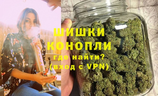 индика Сатка