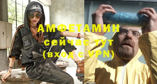 индика Сатка