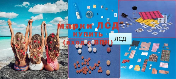 индика Сатка