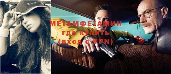 индика Сатка