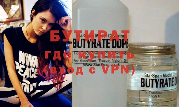 индика Сатка