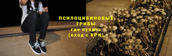 индика Сатка